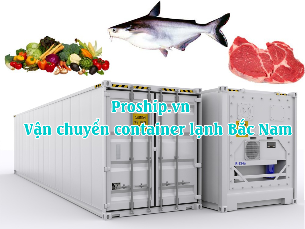 Van chuyen container lanh