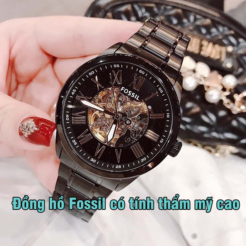 dong ho fossil